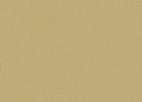Обои Rasch Blue Velvet 610055