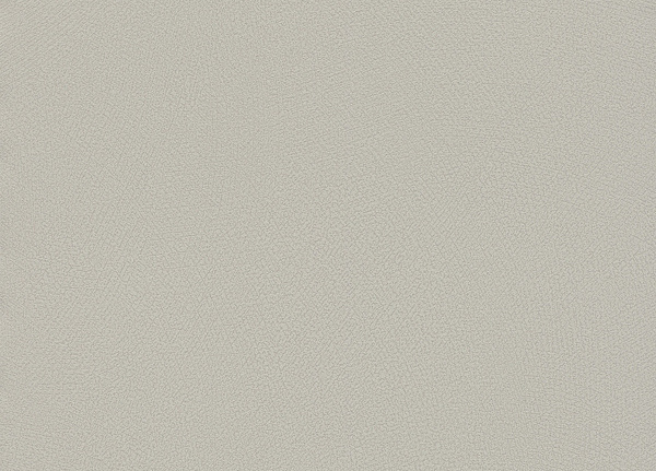 Обои Rasch Blue Velvet 610093