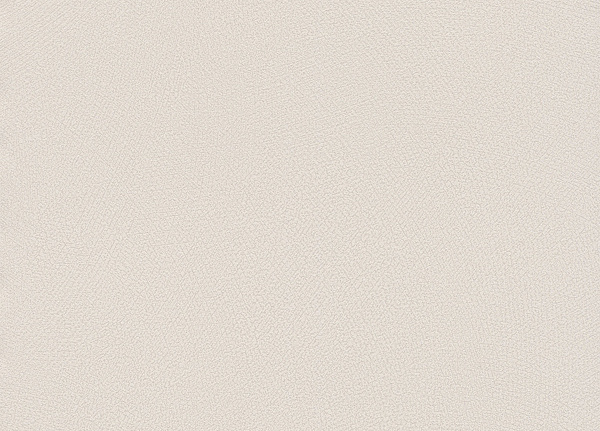 Обои Rasch Blue Velvet 610116