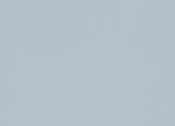 Обои Rasch Blue Velvet 610147