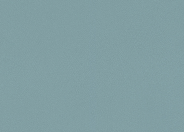 Обои Rasch Blue Velvet 610161