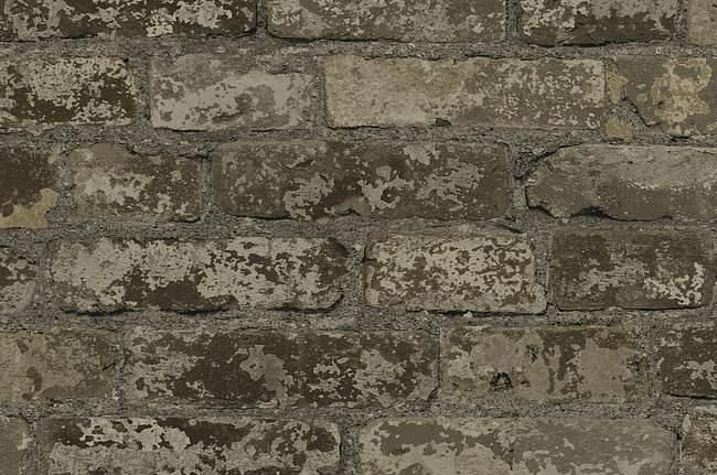Обои York Snapshot RK4436