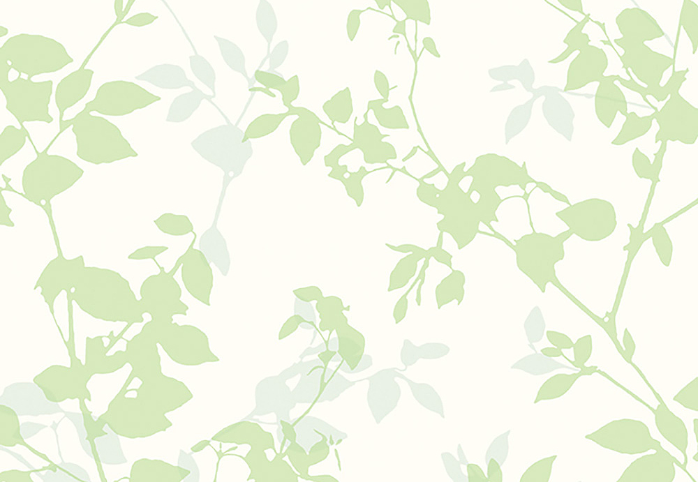 Обои Grandeco Nordic Elegance NG 3105