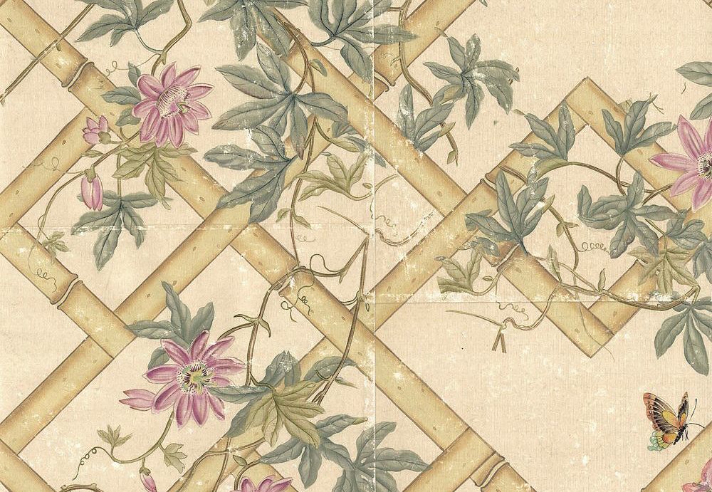 Обои Paul Montgomery Studio Fine Painted Wallpapers Passiflora