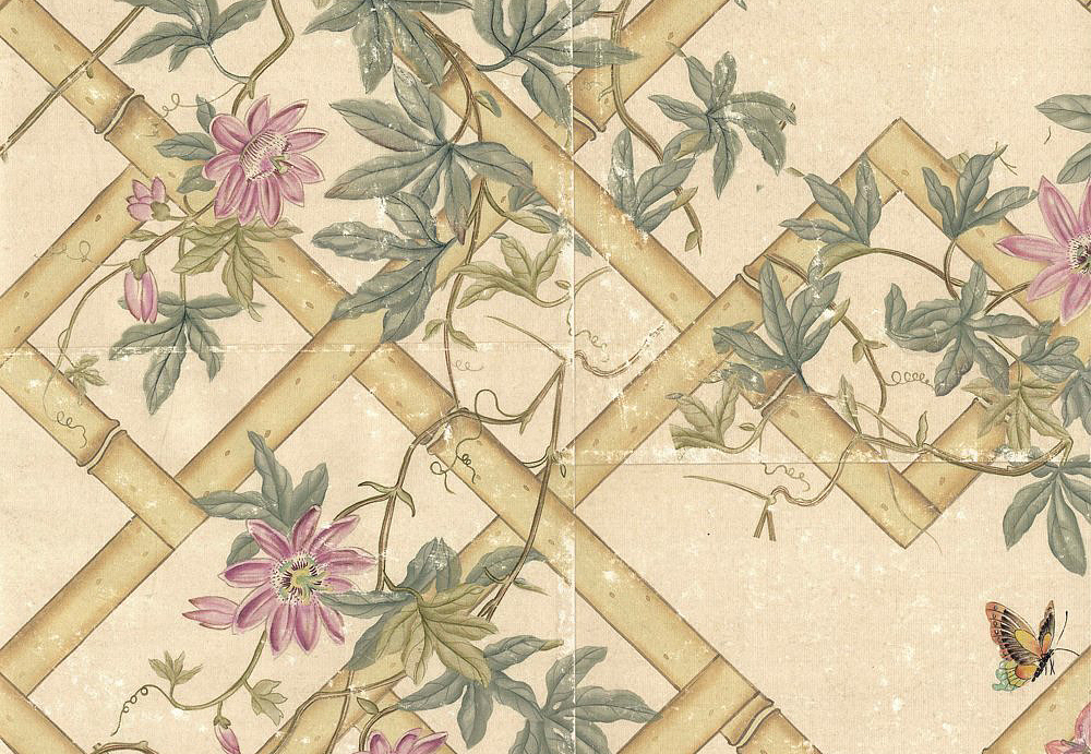 Обои Paul Montgomery Studio Fine Painted Wallpapers Passiflora