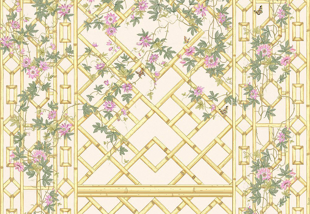 Обои Paul Montgomery Studio Fine Painted Wallpapers Passiflora