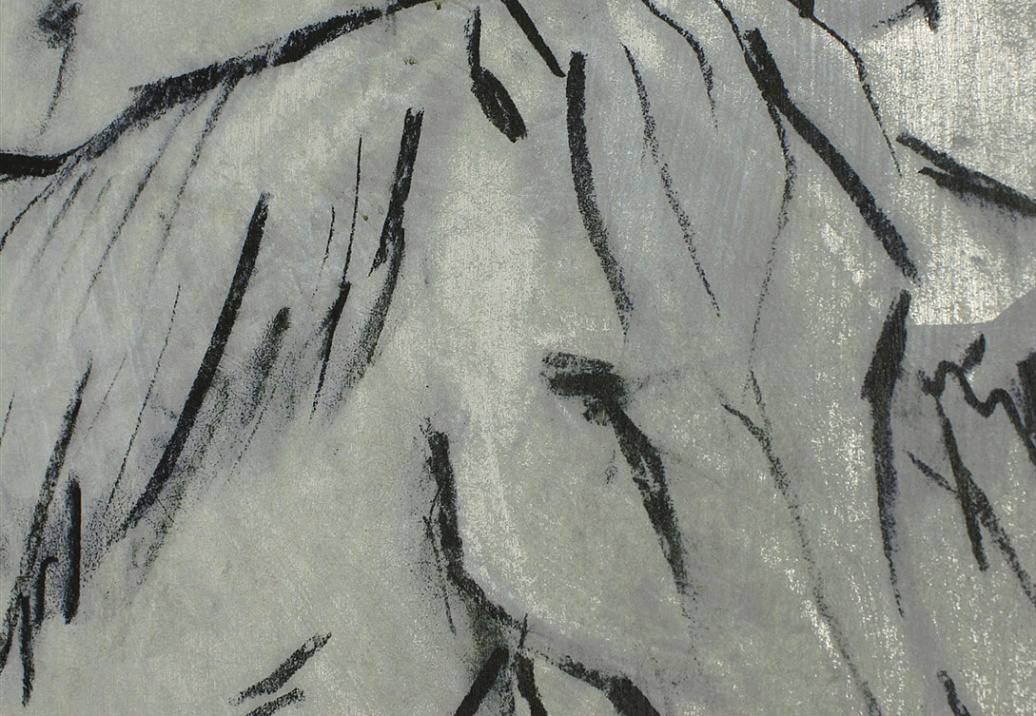 Обои Paul Montgomery Studio Endur Collection (Mural Sources) E-FL-065-GR1-SR/Silver