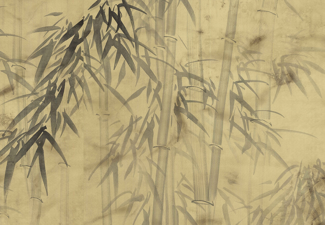 Обои Paul Montgomery Studio Murals For Unique Walls Bamboo Forest/Antiqued