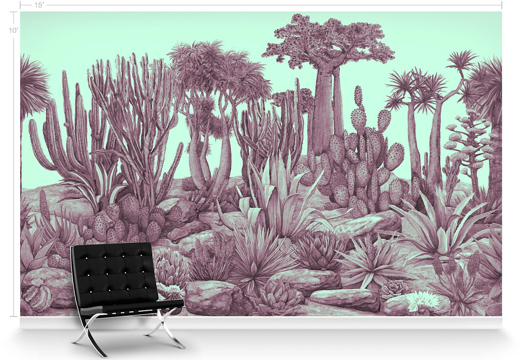 Обои Paul Montgomery Studio Murals For Unique Walls Cactus Garden/Berry