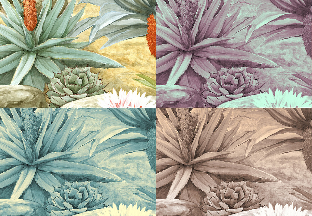 Обои Paul Montgomery Studio Murals For Unique Walls Cactus Garden/Berry