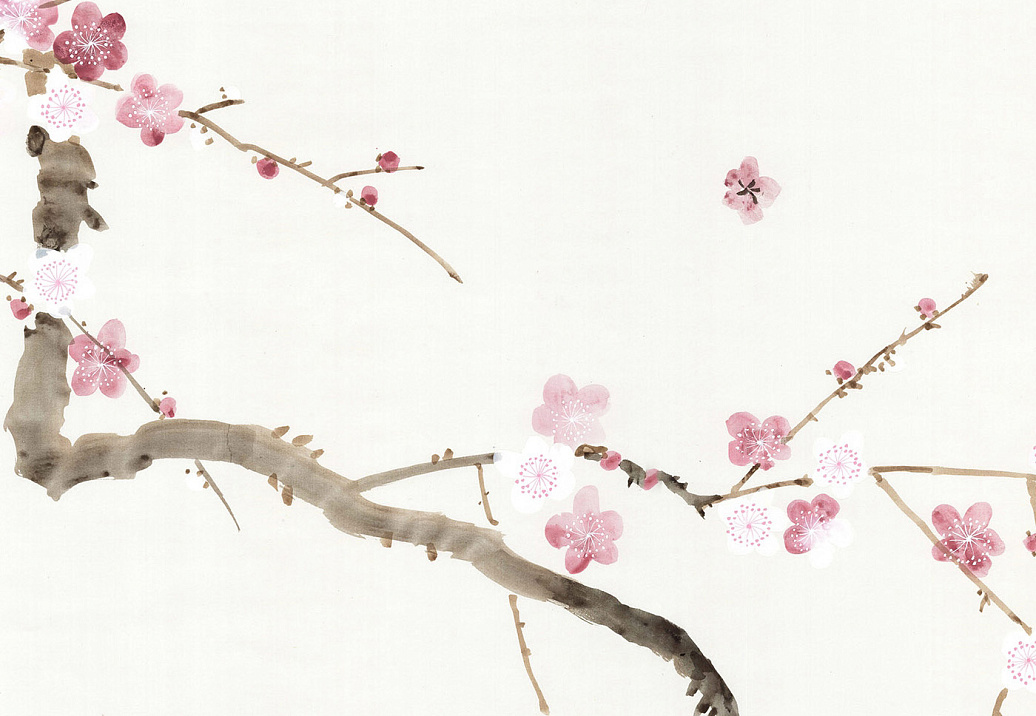 Обои Paul Montgomery Studio Murals For Unique Walls Cherry Blossoms White/White