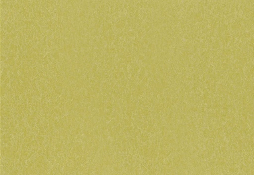 Обои Designers Guild Edit Plains and Textures II P502-69