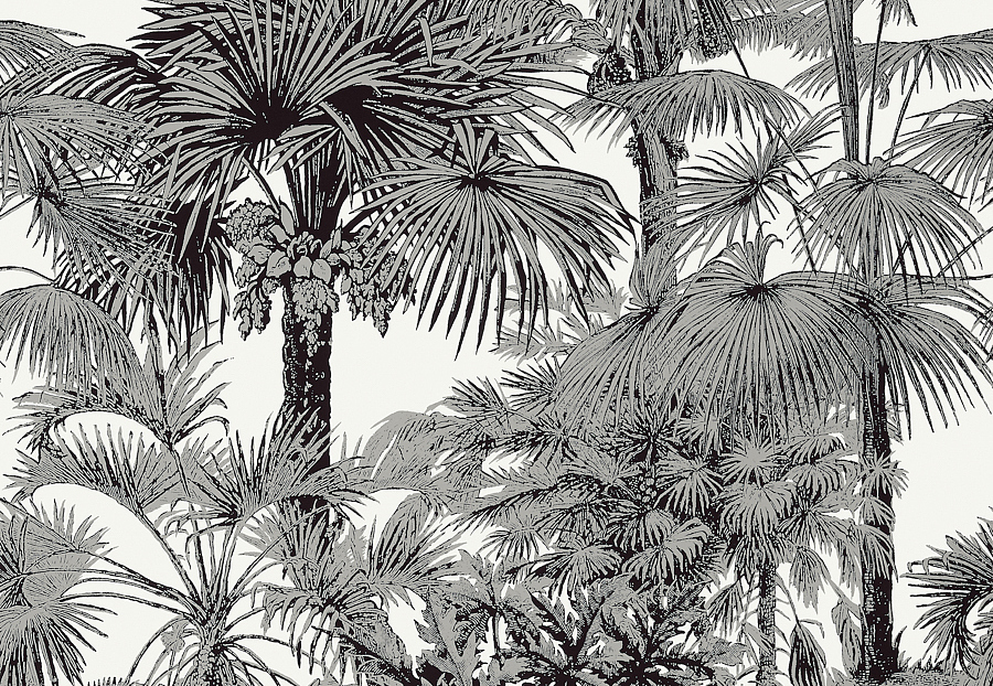 Обои Thibaut Tropics T10102