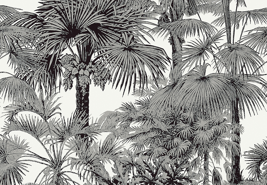 Обои Thibaut Tropics T10102
