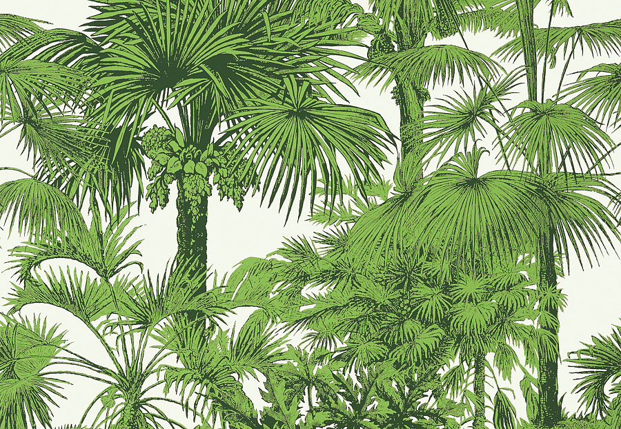 Обои Thibaut Tropics T10103