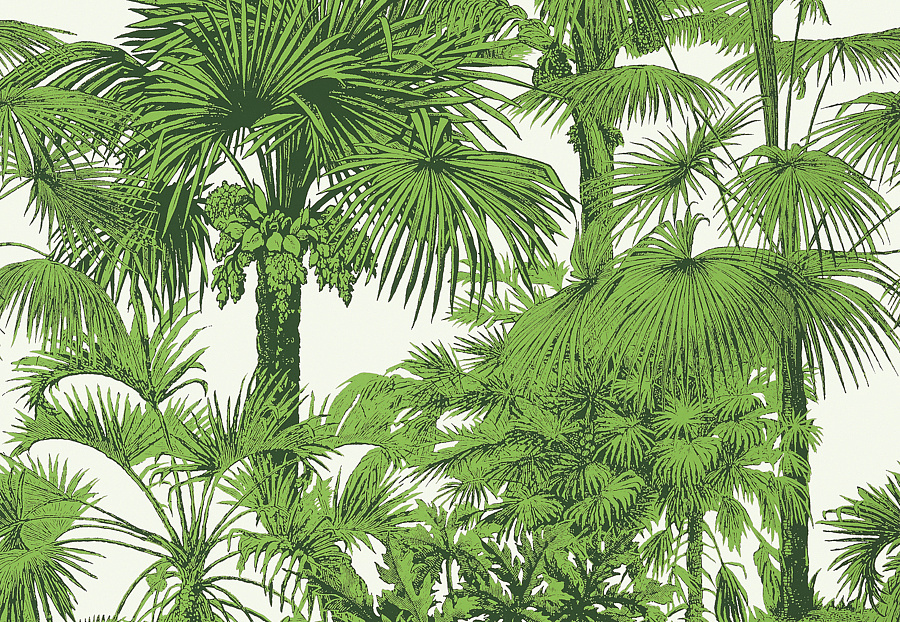 Обои Thibaut Tropics T10103