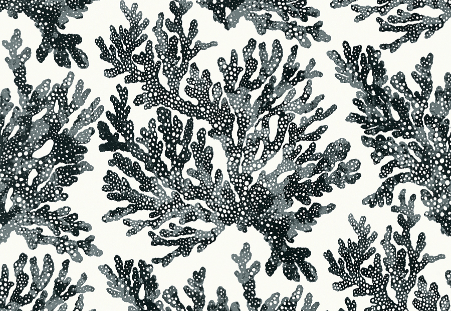 Обои Thibaut Tropics T10123