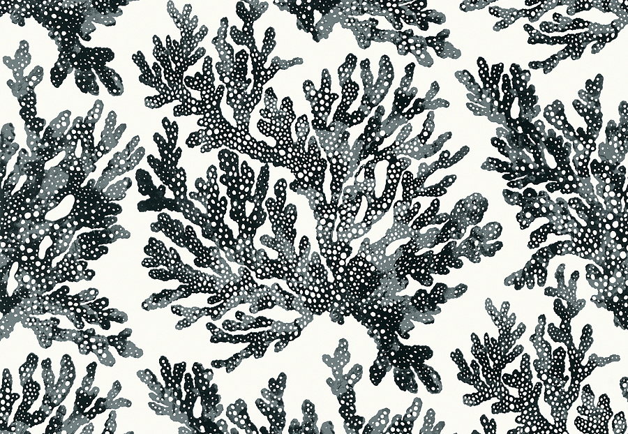 Обои Thibaut Tropics T10123