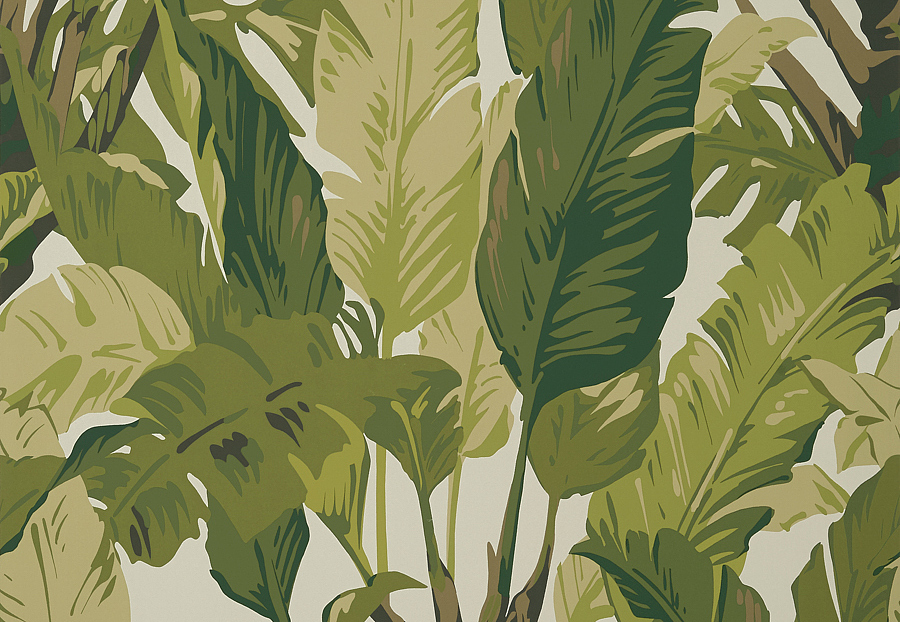 Обои Thibaut Tropics T10131