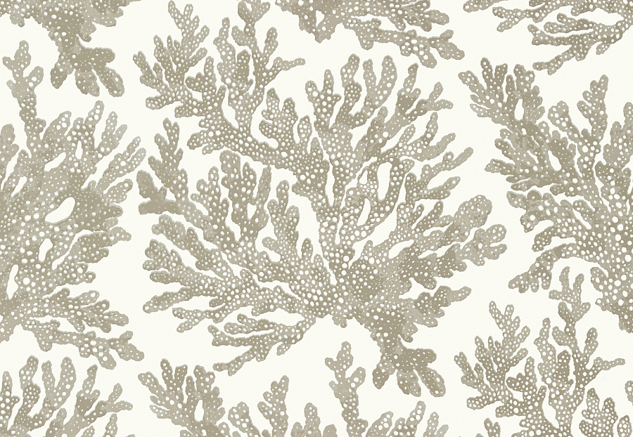 Обои Thibaut Tropics T10140
