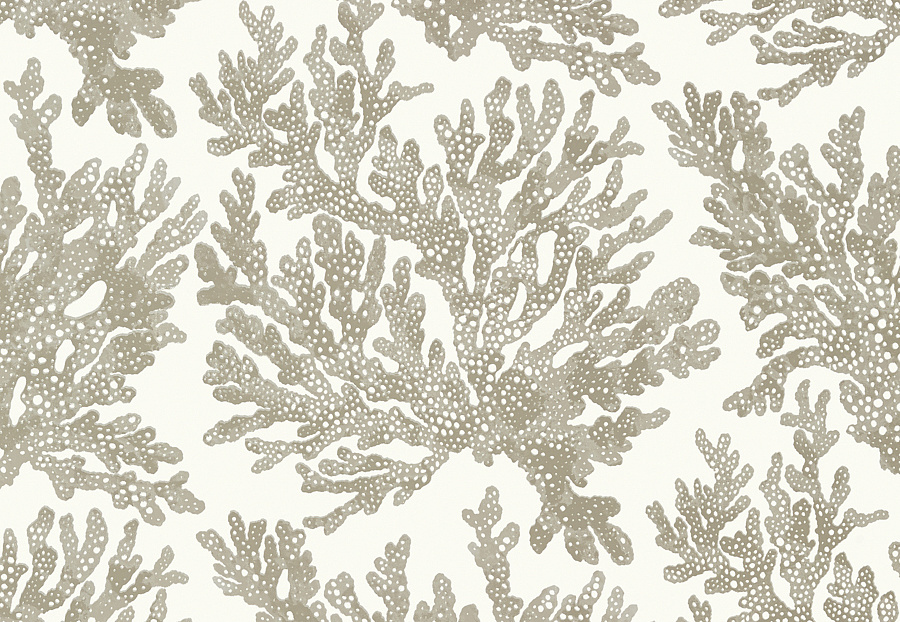 Обои Thibaut Tropics T10140