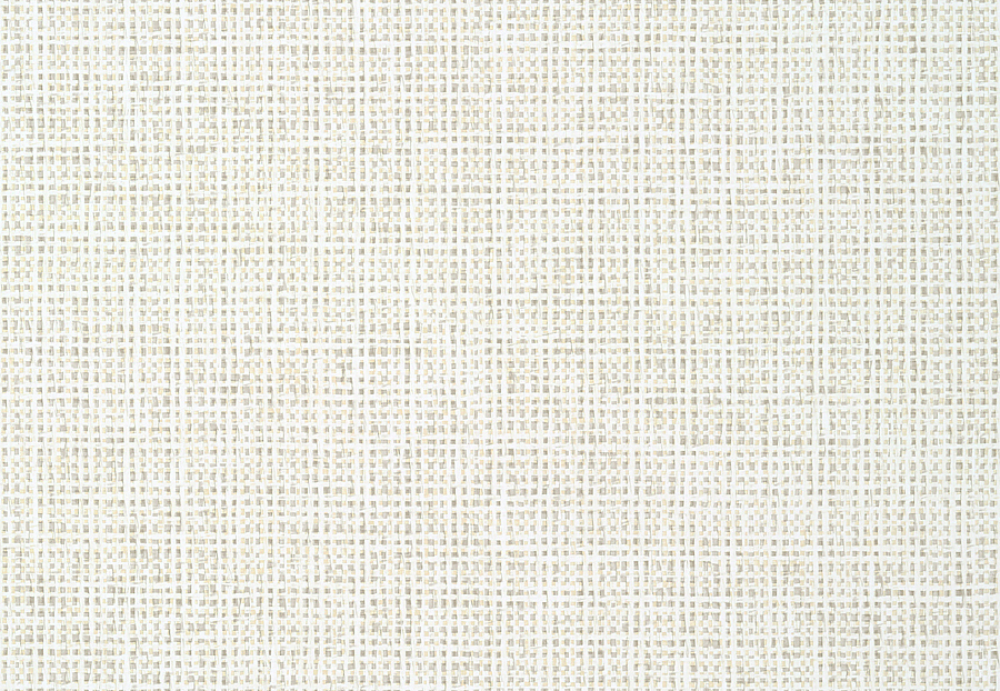 Обои Thibaut Tropics T10150
