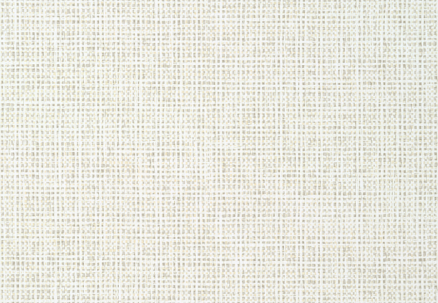 Обои Thibaut Tropics T10150