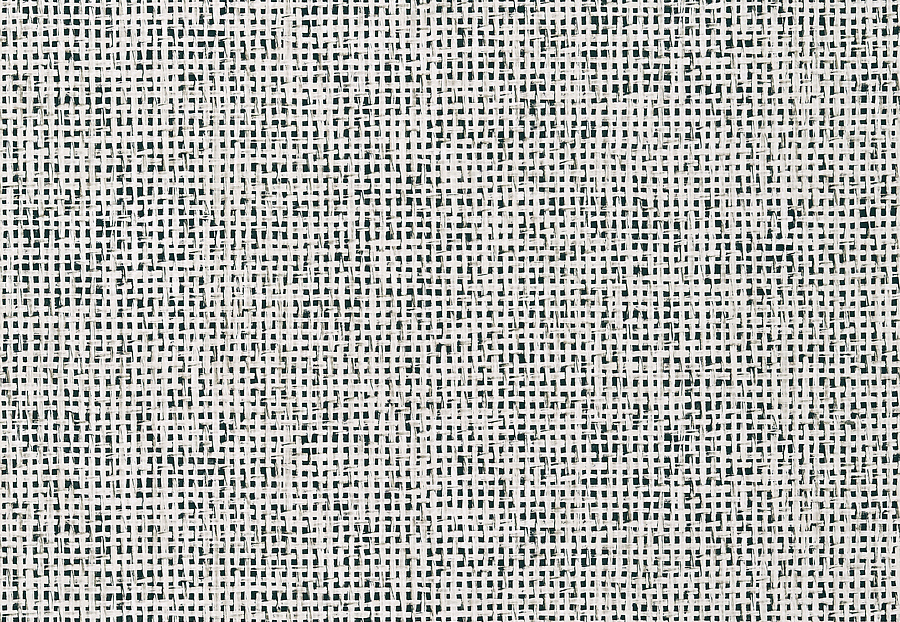 Обои Thibaut Tropics T10152