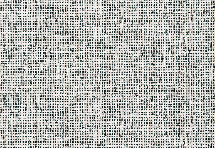 Обои Thibaut Tropics T10152