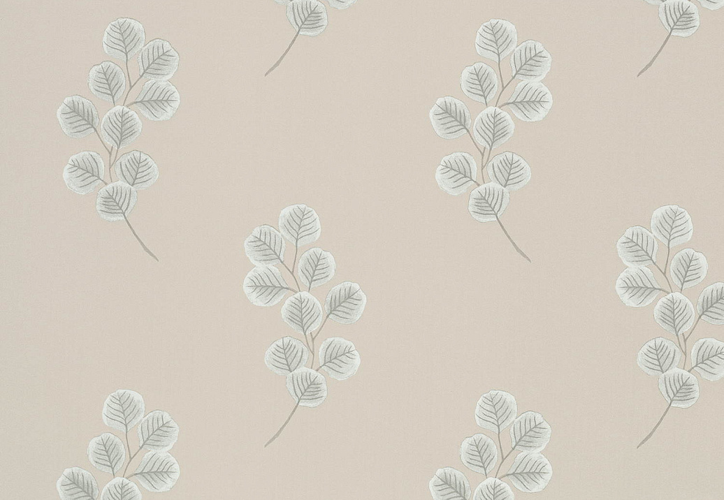 Обои Paint & Paper Library Botany 0360HOSLATE