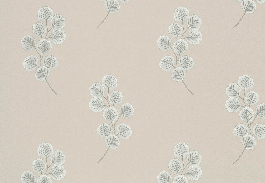 Обои Paint & Paper Library Botany 0360HOSLATE