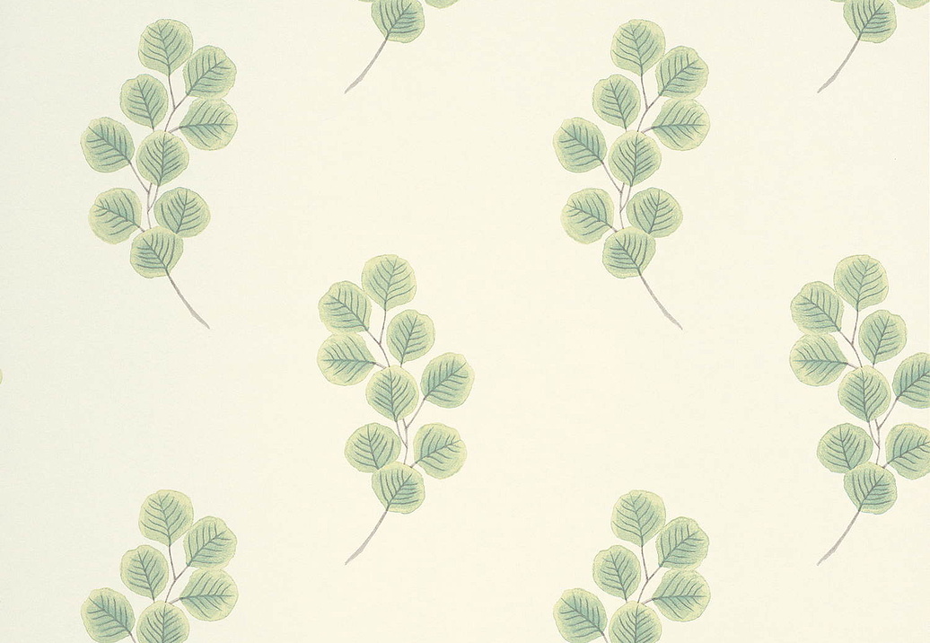 Обои Paint & Paper Library Botany 0360HOСHELS