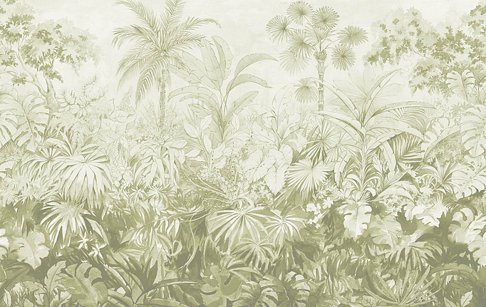 Английские обои Paint & Paper Library, коллекция Botany, артикул 0360JAWILLO