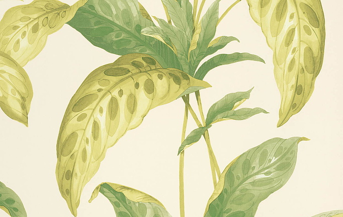 Английские обои Paint & Paper Library, коллекция Botany, артикул 0360TRCHELS