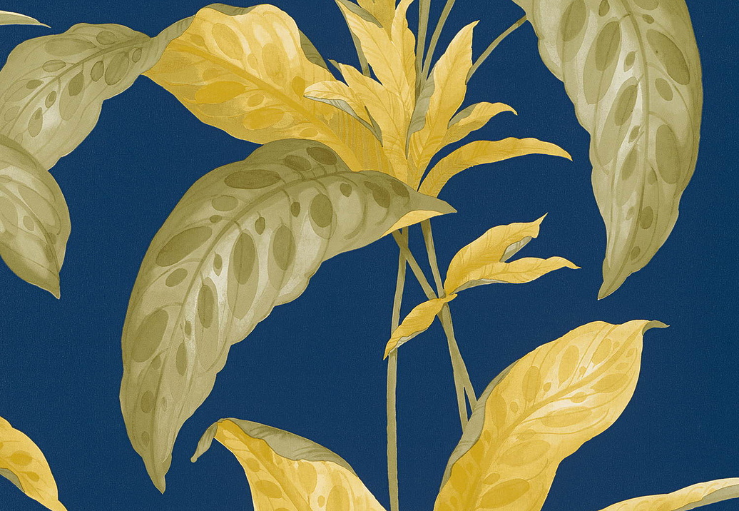 Обои Paint & Paper Library Botany 0360TRPLIMS