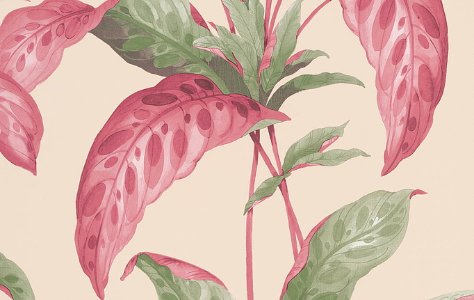 Английские обои Paint & Paper Library, коллекция Botany, артикул 0360TRRHUBA