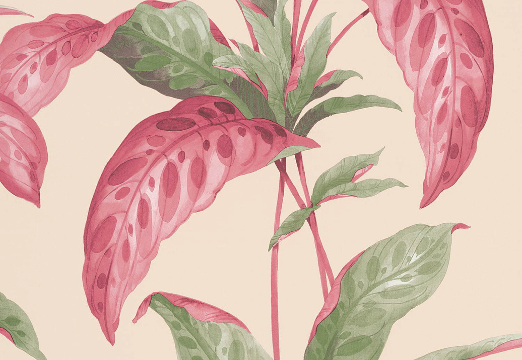 Обои Paint & Paper Library Botany 0360TRRHUBA