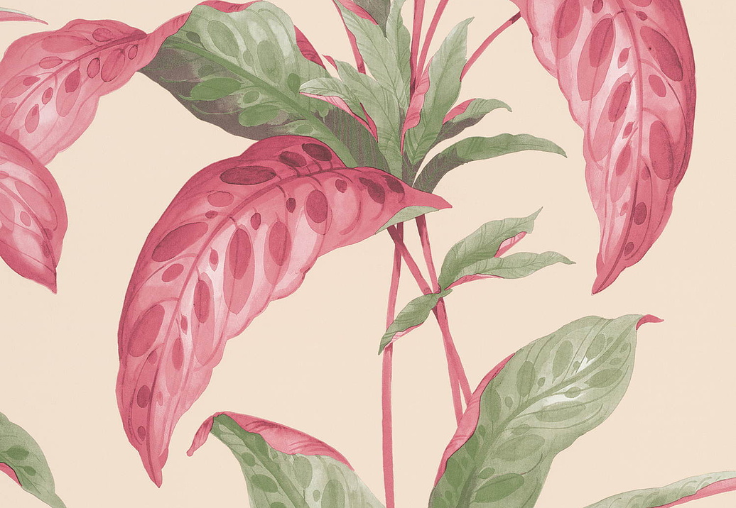 Обои Paint & Paper Library Botany 0360TRRHUBA