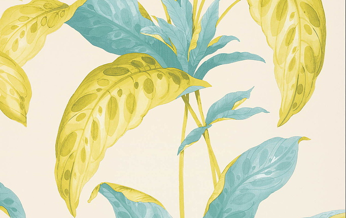 Английские обои Paint & Paper Library, коллекция Botany, артикул 0360TRSCALL
