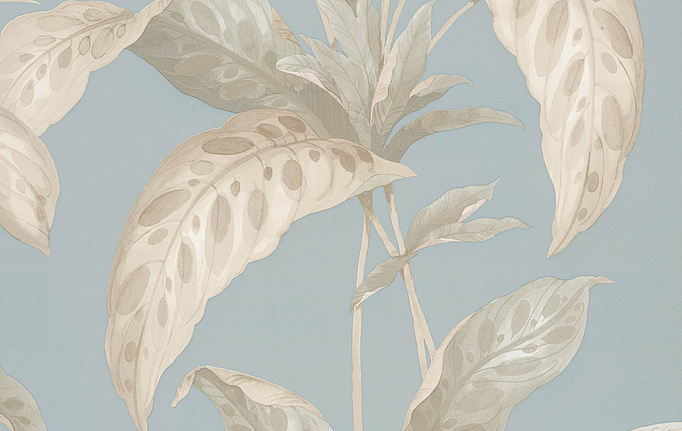 Английские обои Paint & Paper Library, коллекция Botany, артикул 0360TRSEANO