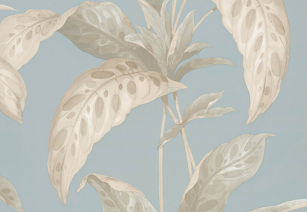 Обои Paint & Paper Library Botany 0360TRSEANO
