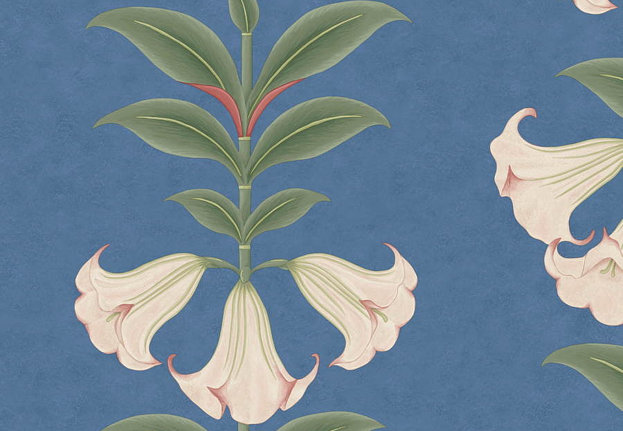 Обои Cole & Son Seville 117/3008