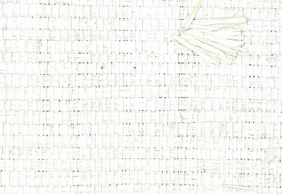 Обои Elitis Raw Raffia RM-975-01