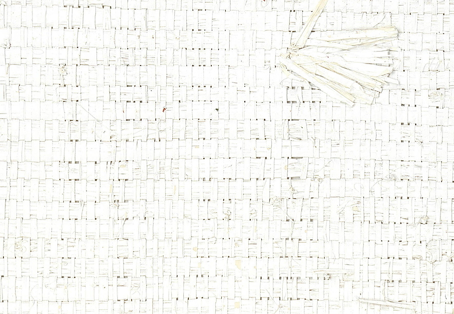 Обои Elitis Raw Raffia RM-975-01