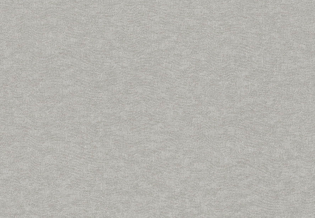 Обои Rasch Filigrano 964837
