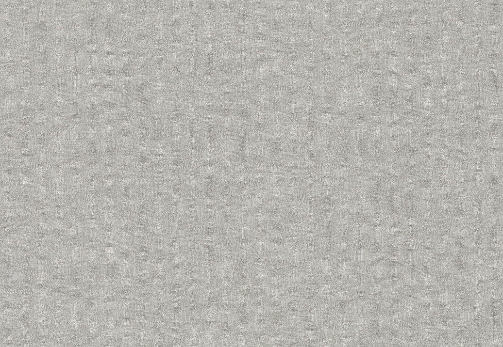 Обои Rasch Filigrano 964837