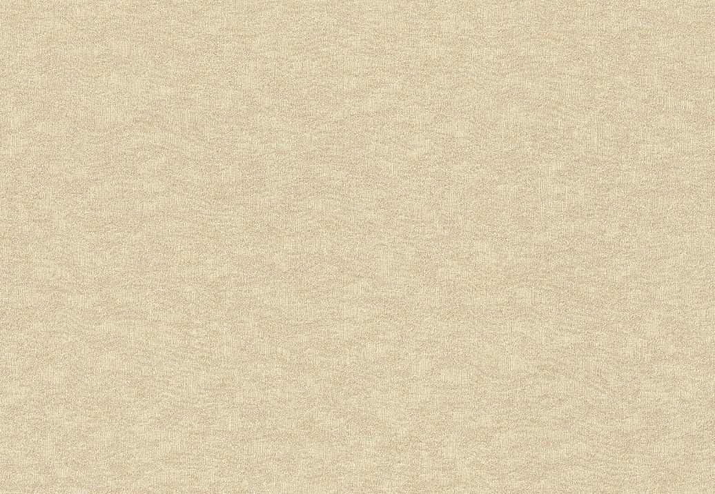 Обои Rasch Filigrano 964851