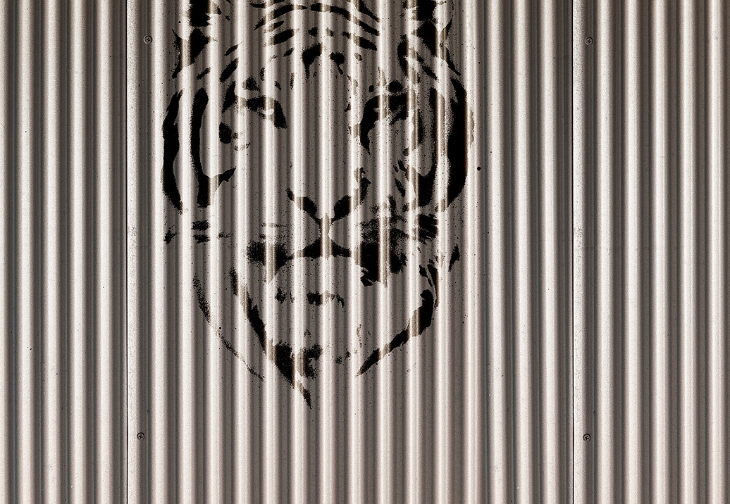 Панно и фотообои Aura Panorama V125-2-V
