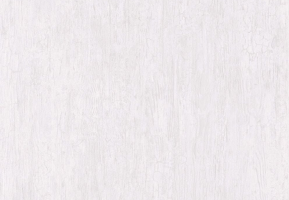 Обои Casadeco Woods WOOD85990027