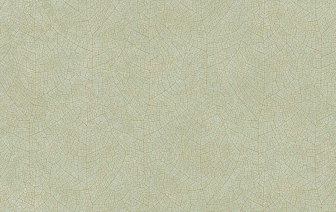 Французские обои Casadeco, коллекция Woods, артикул WOOD26217010